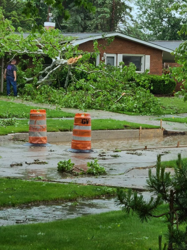 StormDamage_johnnysTreesServices-(2)