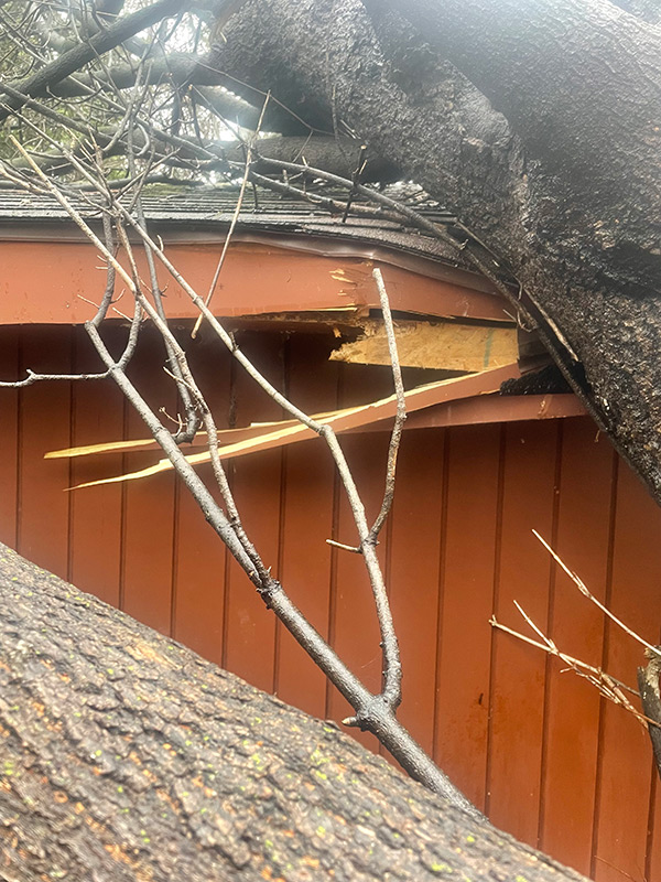 StormDamage_johnnysTreesServices-(5)